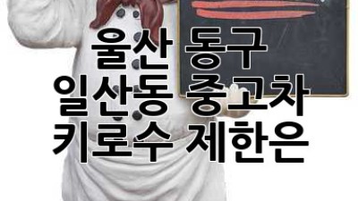 울산 동구 일산동 중고차, 키로수 제한은?