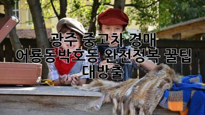 🚗 광주 중고차 경매, 어룡동·박호동 완전정복! 꿀팁 대방출 🍯